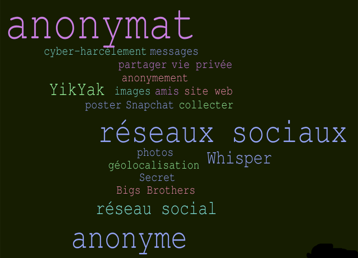 anonymat reseau social