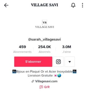 bio_tiktok_stratégie-entreprise